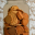 BISCUITS
